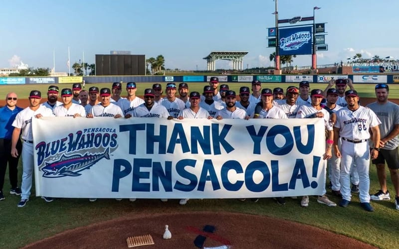 Blue Wahoos Baseball
